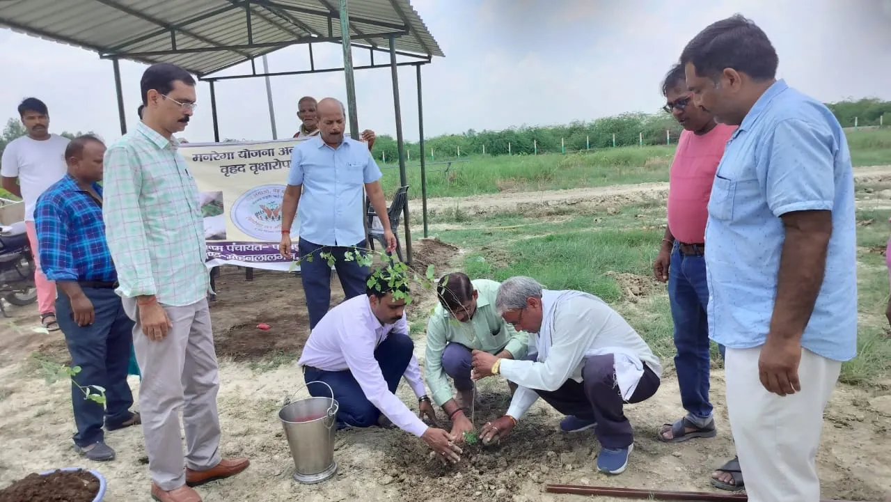 वृक्षारोपण महाअभियान के तहत हुआ वृहद स्तर पर पौधरोपण