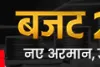 आम बजट : अब राष्टीय पहचान के रूप में मान्य होगा पैन कार्ड 