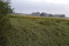 मिल्कीपुर क्षेत्र में हुई मूसलाधार बरसात के चलते गेहूं, सरसों समेत अन्य कई फसले हुई चौपट