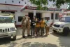 हैदरगढ़ पुलिस ने 8 गोवंशीय पशु सहित 4 व्यक्तियों को किया गिरफ़्तार