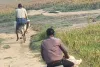 बिना किसी रोक-टोक के नेपाल भेजी जा रही मुर्गे की खेप 