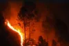 उत्तराखंड के जंगलों में पिछले 24 घंटों की धधकती आग नियंत्रण में 