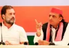 यूपी उपचुनाव में 'इंडिया' के प्रत्याशी भी सपा के चुनाव चिह्न पर चुनाव लड़ेंगे।