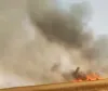 संदिग्ध परिस्थितियों में गेहूं के खेत में लगी आग