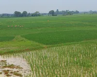 विगत दो वर्षों के बाद इस साल खरीफ फसल अच्छी होने की है सम्भावना: कृषक मित्र