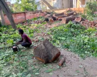 हरे पेड़ कटवाकर सरकार के पेड़ लगाओ अभियान को पलीता लगा रहा स्वास्थ्य विभाग