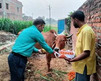 गोपाष्टमी पावन पर्व पर आयोजित हुआ गौ पूजन कार्यक्रम