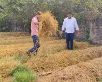  धान की पराली को बनाया आय का साधन, लाखों हो रही कमाई