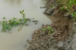 गंगा नदी के कटान से परेशान ग्रामीणों ने उप जिलाधिकारी को दिया प्रार्थना पत्र