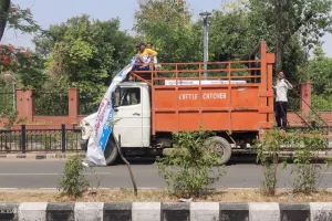 अवैध प्रचार सामाग्री-विज्ञापन पर नगर निगम ने कसा फ़िर शिकंजा हटवाये होडिंग बैनर