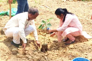    खंड विकास अधिकारी अंजलि सरोज ने पीपल, बरगद और पकड़िया जैसे वृक्षों का किया रोपण 