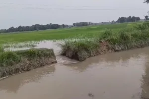 कटान बंद न होने से किसानों की फसले हुई जलमग्न