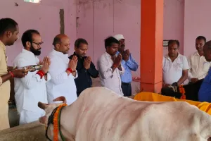 पडरौना : गौ माता की सेवा कर नपाध्यक्ष ने सौहार्दपूर्ण माहौल में मनाया गोवर्धन पर्व 