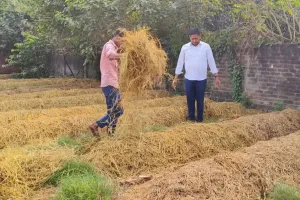  धान की पराली को बनाया आय का साधन, लाखों हो रही कमाई